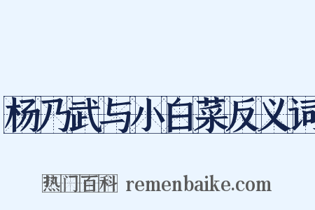 杨乃武与小白菜反义词是什么意思的图片